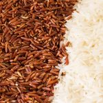 White Rice vs Brown Rice in Poké Bowls: Which to Choose?