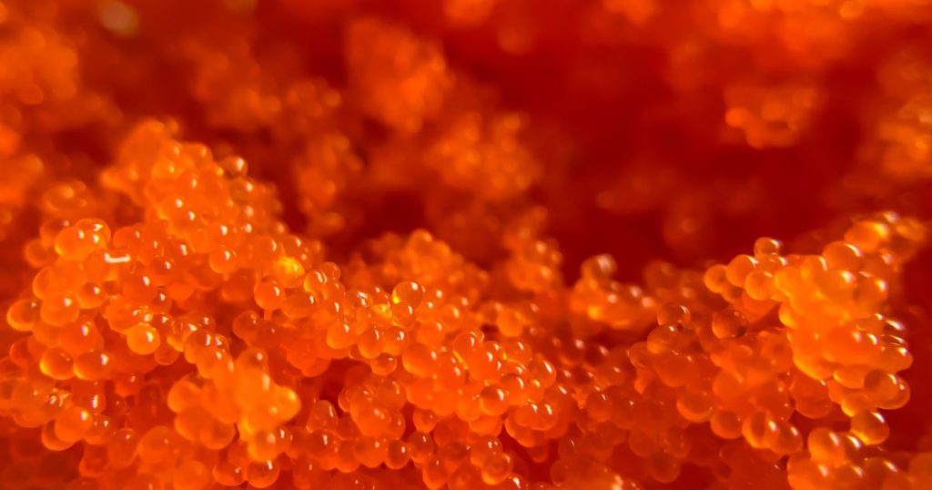 What Is Tobiko?