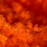 What Is Tobiko?
